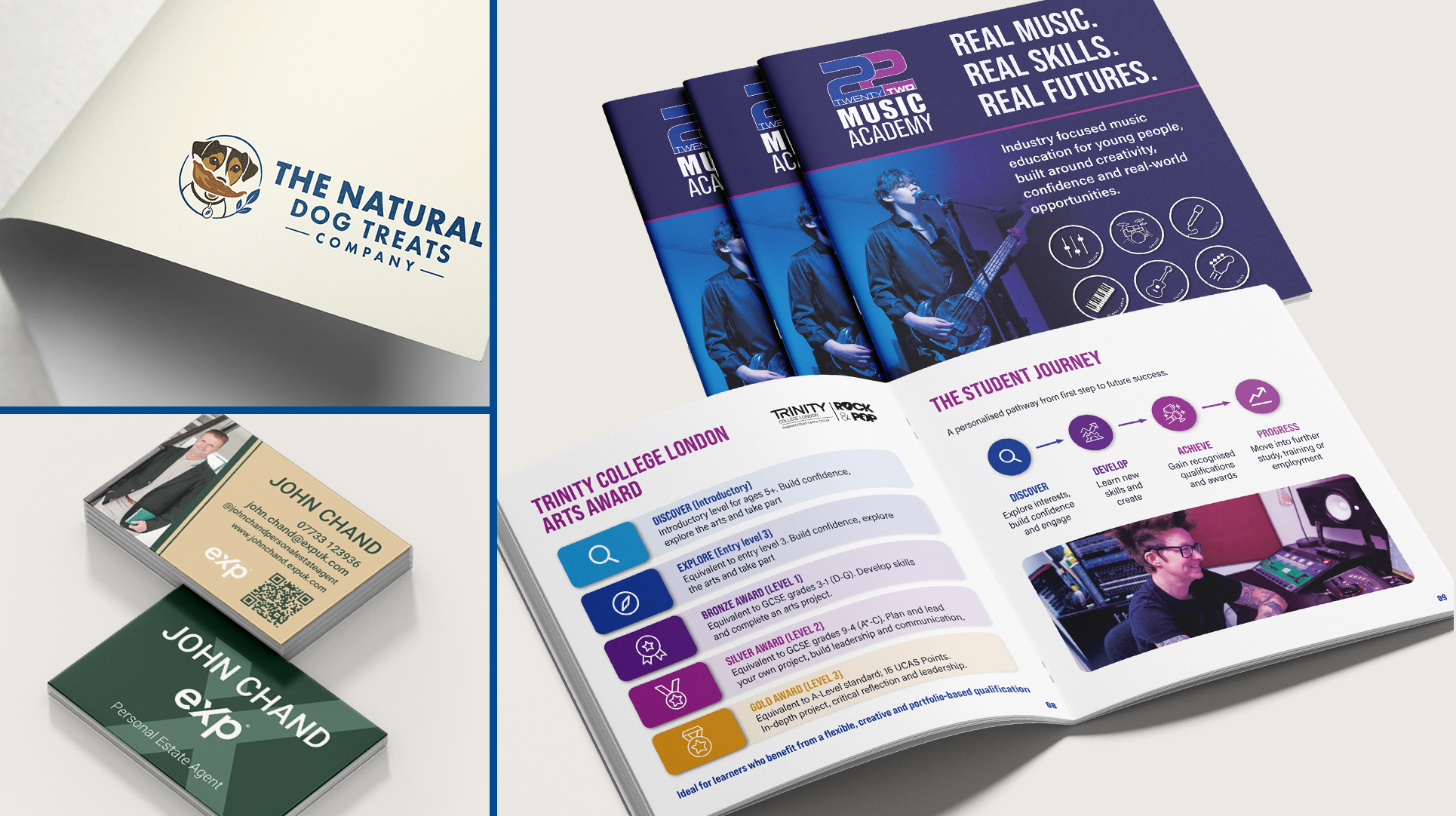 Collection of printed brochures and marketing materials showcasing custom graphic design for The Natural Dog Treats Company, John Chand EXP Personal Estate Agent and 22 Music Academy.
